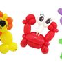 Balloons modelling